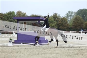 181923_mtp_03_R62_7608.JPG