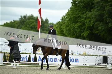 181449_kbb_03_Z090652.JPG
