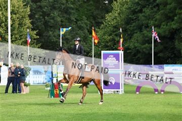 181805_mlm_02_R62_6283.JPG