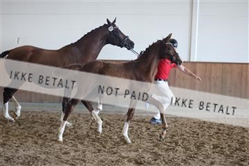 181756_mtp_03_R62_2995.JPG