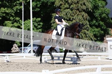 174742_bc_01_R62_2222.JPG