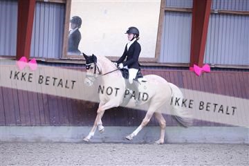 173883_mtp_01_3M5A0308.JPG