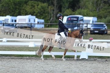 181894_mtp_05_R62_5368.JPG
