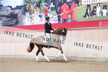 175166_kbb_01_R6II0077.JPG