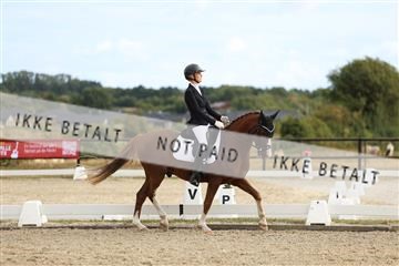 181894_mtp_03_R62_2653.JPG