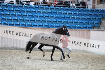 181887_mtp_03_R62_8075.JPG