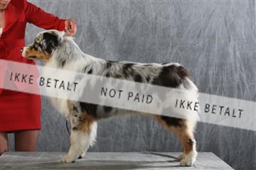 129608_le_ 01_0827.JPG