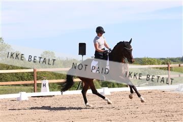 181449_bc_01R62_6020.JPG