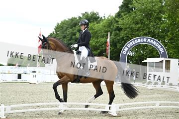 181449_kbb_03_Z091848.JPG