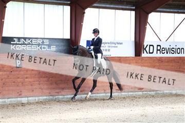 175442_kbb_01_R6II0167.JPG