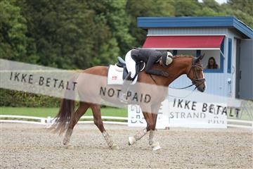 181957_mtp_01_3M5A7750.JPG