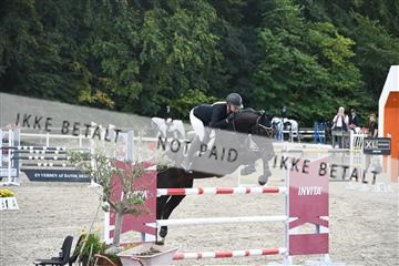 172734_akl_01_AKL_7490.JPG