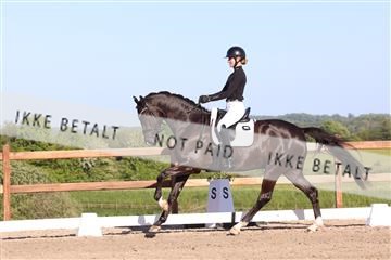 181449_bc_01R62_6359.JPG