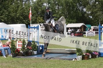 5925_ma_05_IMG_1137.JPG