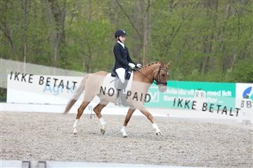 174512_mtp_01_3M5A7188.JPG