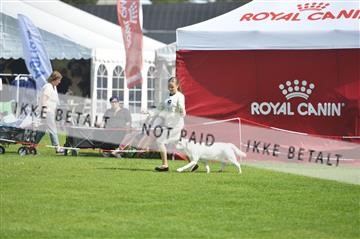 175267_bkn_01__JBR2464.JPG