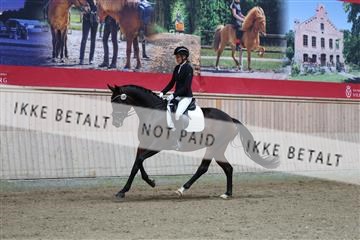 181887_mtp_01_R62_6789.JPG