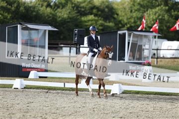 181894_mtp_05_R62_4963.JPG