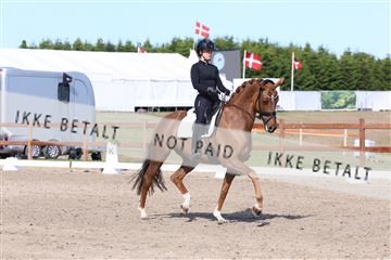 181449_bc_01R62_6065.JPG
