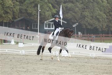 181923_mtp_03_R62_7589.JPG