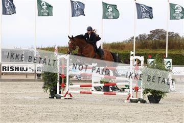 181922_avh_01_1106.JPG