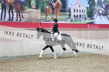 181887_mtp_04_R62_9258.JPG