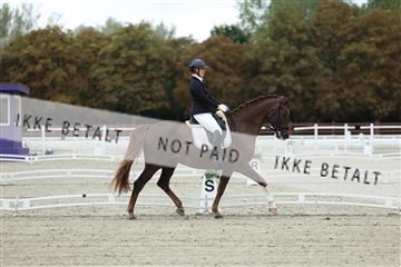 181923_mtp_02_R62_7037.JPG