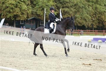 181923_mtp_04_R62_8938.JPG