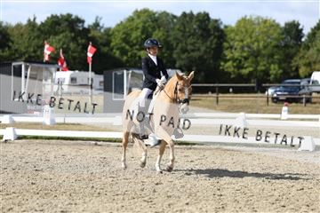181894_mtp_05_R62_4793.JPG