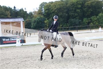 181894_mtp_01_R62_0827.JPG