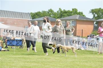 168981_bkn_01__MHR0165.JPG