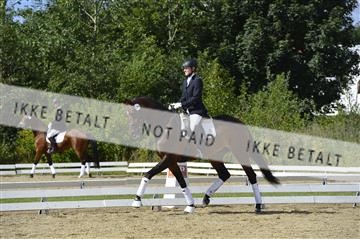 136195_abo_01__AB16051.JPG