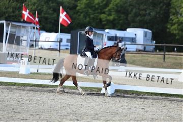 181894_mtp_05_R62_5321.JPG