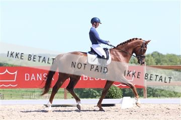 181449_bc_01R62_5626.JPG