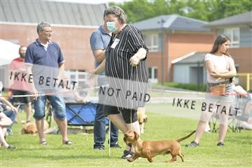168981_bkn_01__MHR0374.JPG