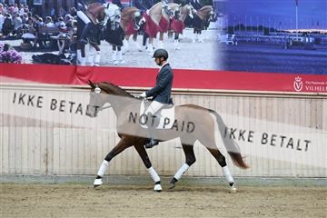 181887_mtp_04_R62_8381.JPG
