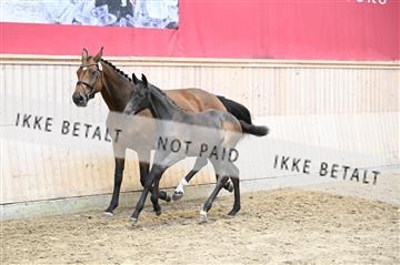 181754_kbb_01_Z093163.JPG