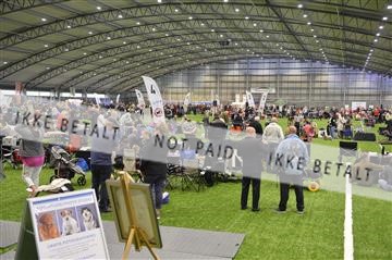 160416_jbr_01__JB21118.JPG