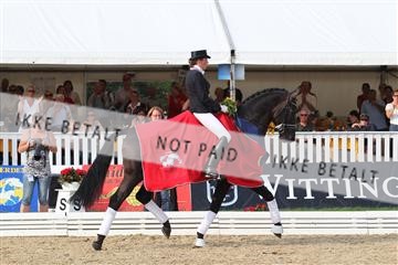 125527_BC_07_IMG_9627.JPG