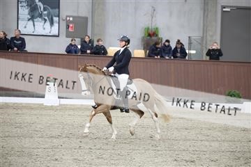 178264_kbb_01_R6II9879.JPG