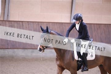 173821_mtp_01_3M5A8901.JPG