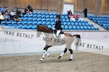 181887_mtp_02_R62_7758.JPG