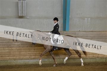144288_abo_01__AB22476.JPG