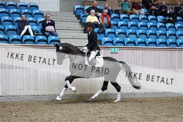 181887_mtp_05_R62_9863.JPG