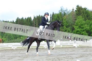 174661_kbb_01_R6II6449.JPG