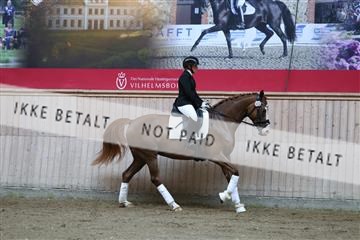 181887_mtp_02_R62_7322.JPG