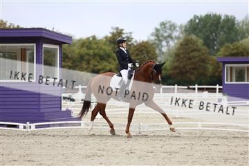 181923_mtp_01_R62_6442.JPG