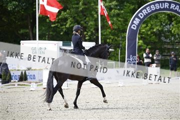 181449_kbb_02_6II0003.JPG