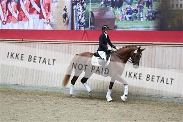 181887_mtp_04_R62_8695.JPG