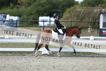 181894_mtp_05_R62_5293.JPG